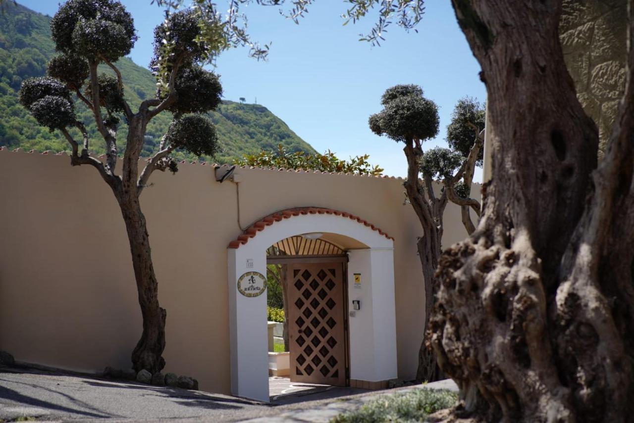 Villa Antonietta Ischia Exteriér fotografie