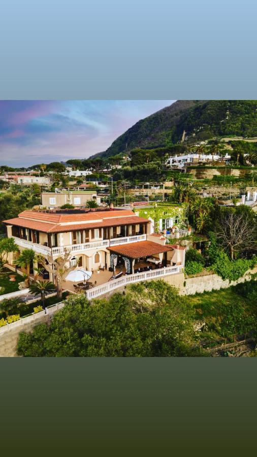 Villa Antonietta Ischia Exteriér fotografie