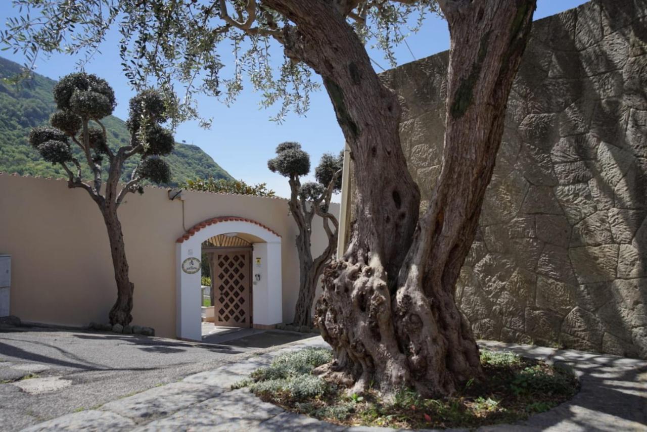 Villa Antonietta Ischia Exteriér fotografie