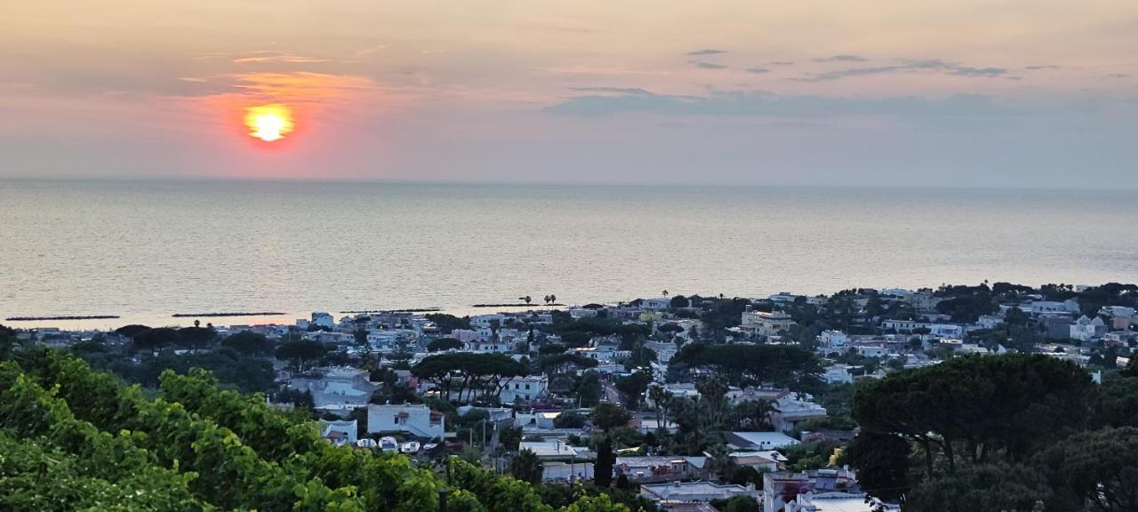 Villa Antonietta Ischia Exteriér fotografie