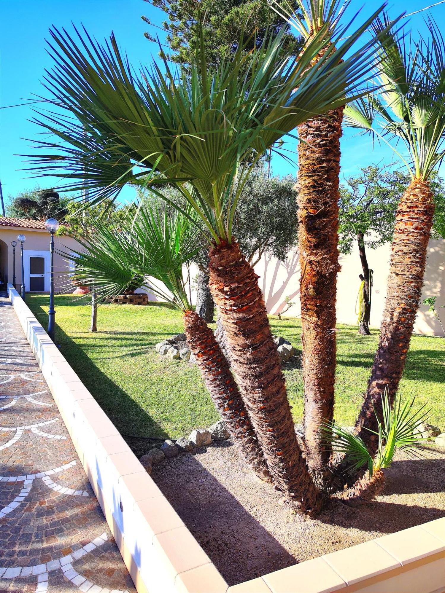 Villa Antonietta Ischia Exteriér fotografie